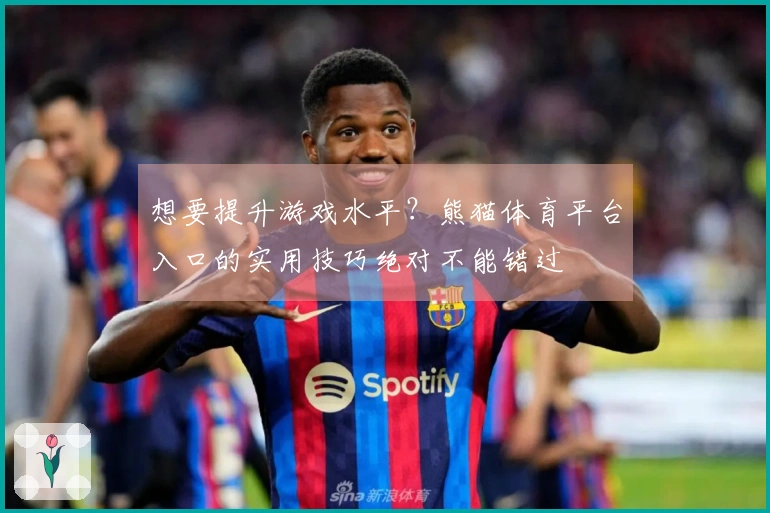 想要提升游戏水平?熊猫体育平台入口的实用技巧绝对不能错过